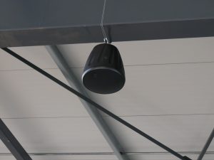 IMG_4808